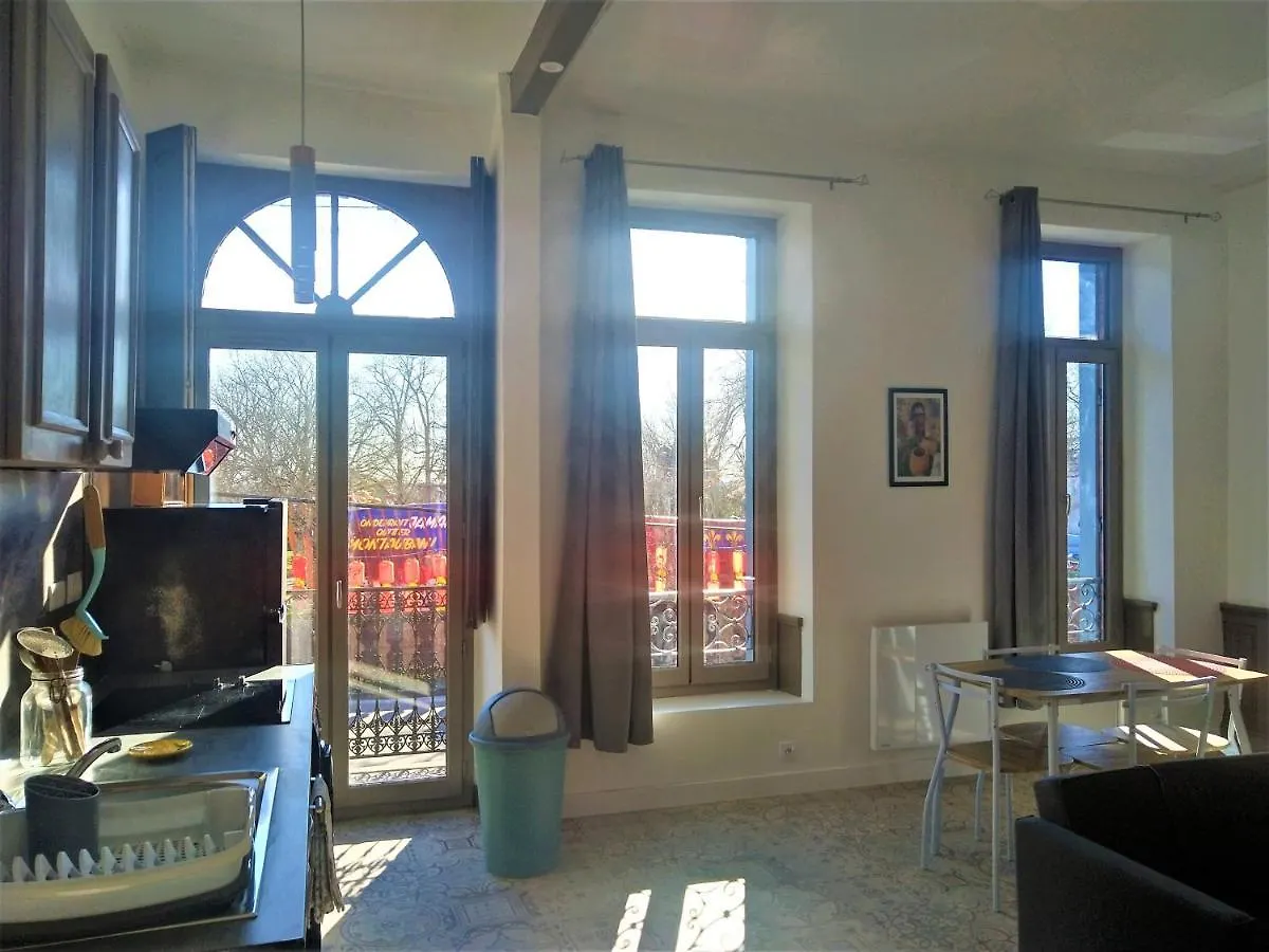 Apartment Cours Foucault Balcony: Spacious Comfort with Park Views Montauban