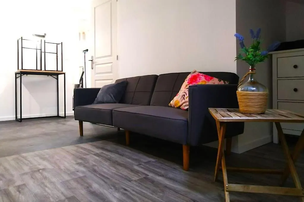 Cours Foucault Balcony: Spacious Comfort with Park Views Montauban 0*,