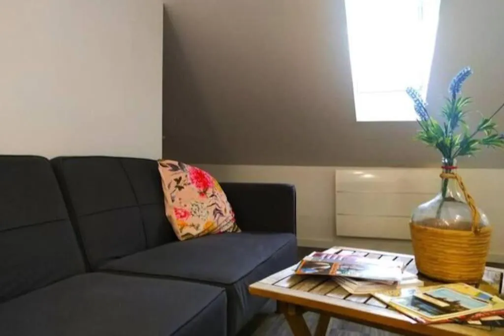 Cours Foucault Balcony: Spacious Comfort with Park Views Montauban France