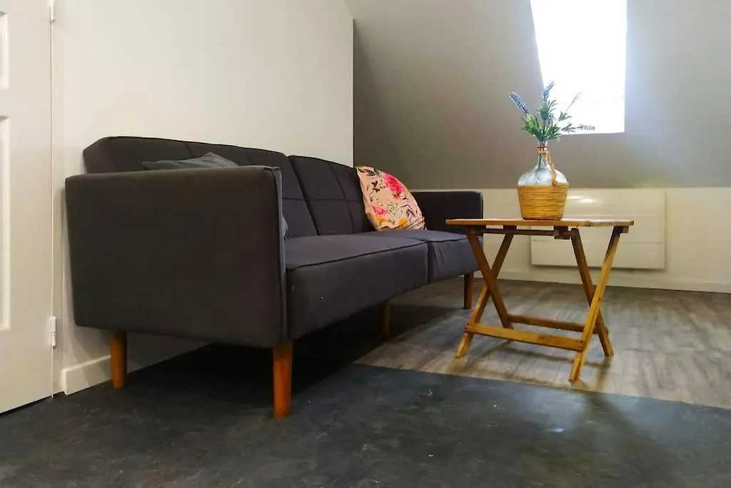 Apartment Cours Foucault Balcony: Spacious Comfort with Park Views Montauban